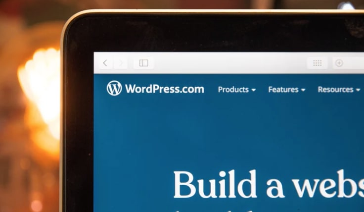 wordpress websites top